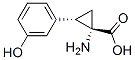 139561-06-1